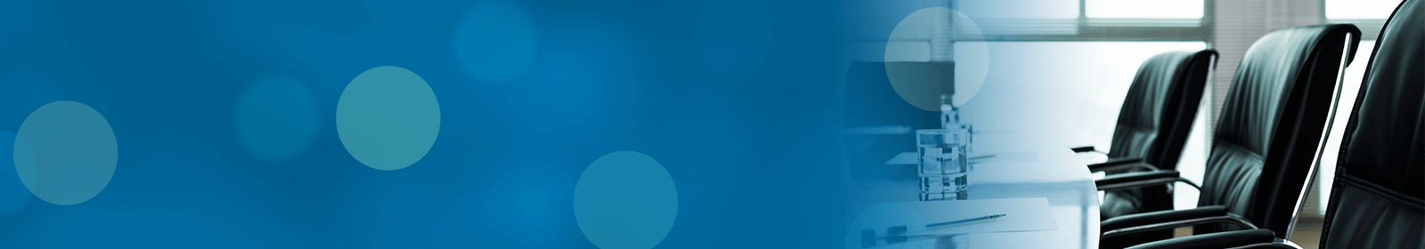 Annual Meeting<br />Attendance Information