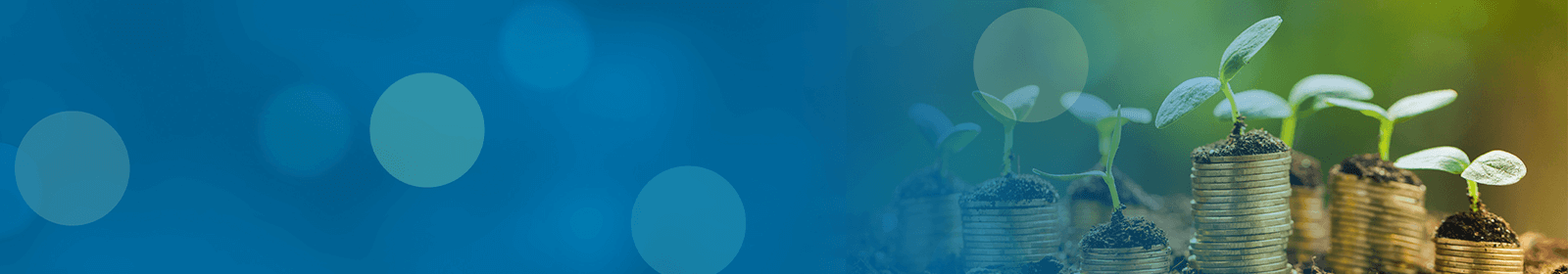 Business Share Certificates