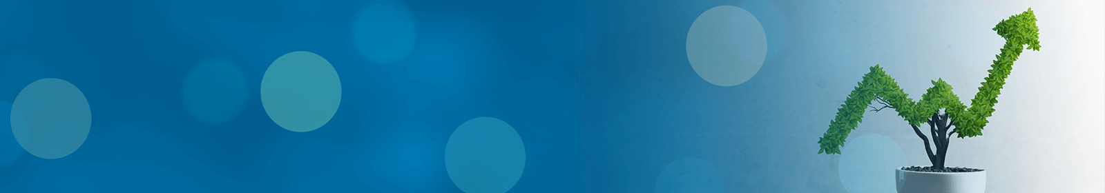 Business Money Market